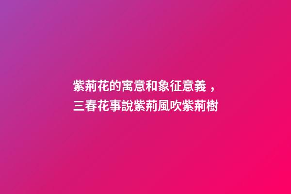 紫荊花的寓意和象征意義，三春花事說紫荊風吹紫荊樹